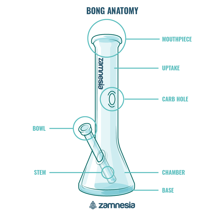 Cómo Preparar Y Fumar Un Bong Guía Detallada Zamnesia Blog